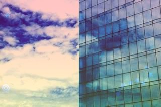 中越东黑冠长臂猿联合保护行动计划和联合巡护队伍工作方案签署共护全球极度濒